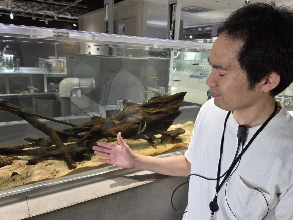 エゾトミヨの展示を解説をする三宅さん