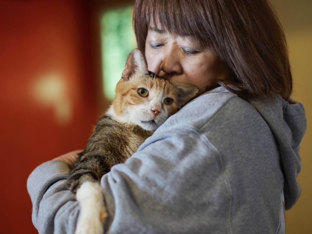 猫を“飼う”から“預かる”へ―高齢者でも安心の新たな選択肢「永年預かり制度」→保護活動のNPO法人が117匹マッチング…代表が目指す社会とは＜札幌の春を彩るひと＞