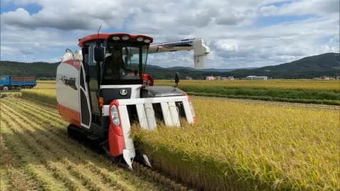 道産米の収獲(資料)