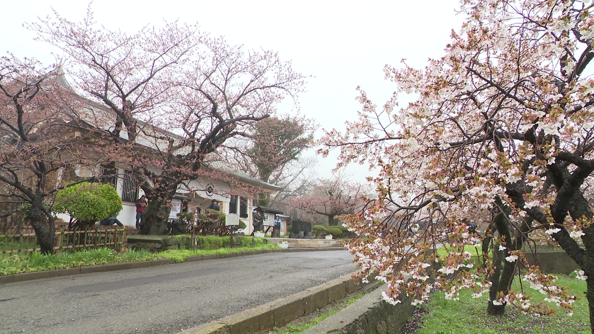 松前町の松前公園