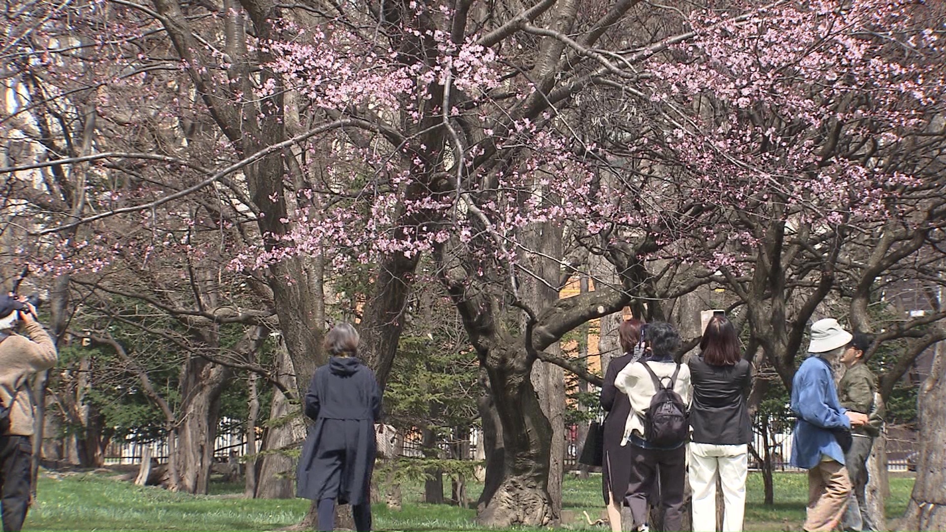 知事公館の庭園の無料開放をスタート