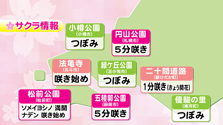 サクラ情報