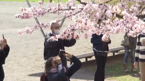 円山公園の人気写真スポット