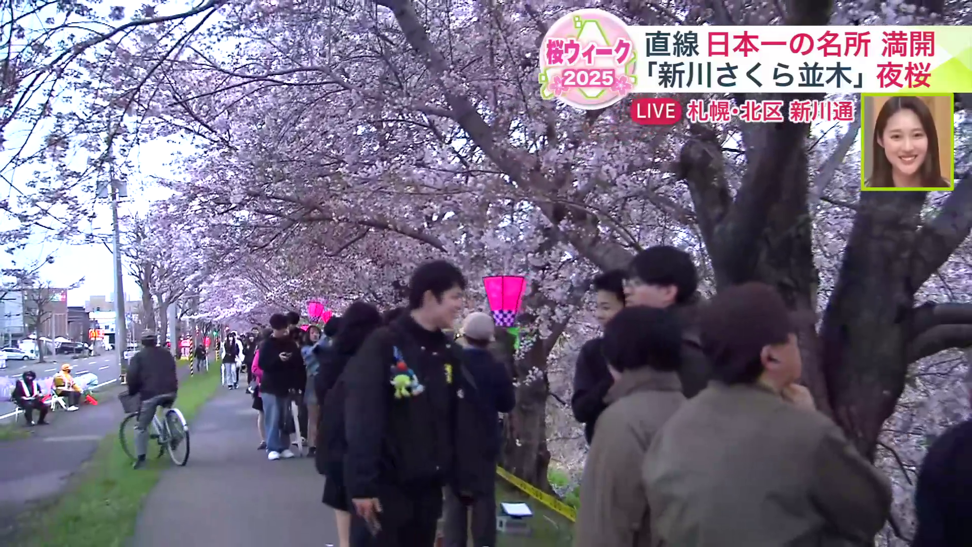 桜を楽しみにたくさんの人が訪れる