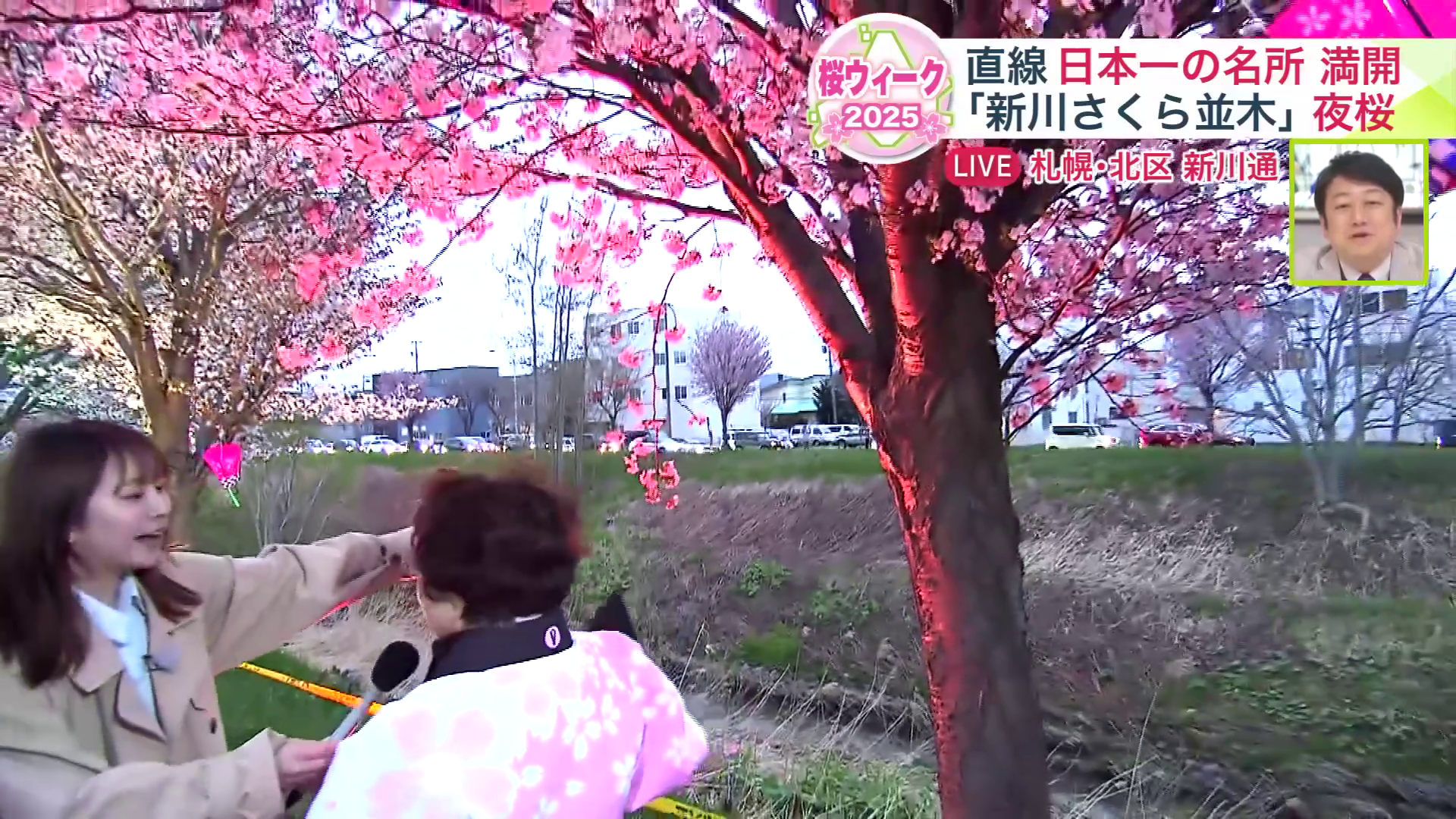 宇山さんが植樹した桜の木
