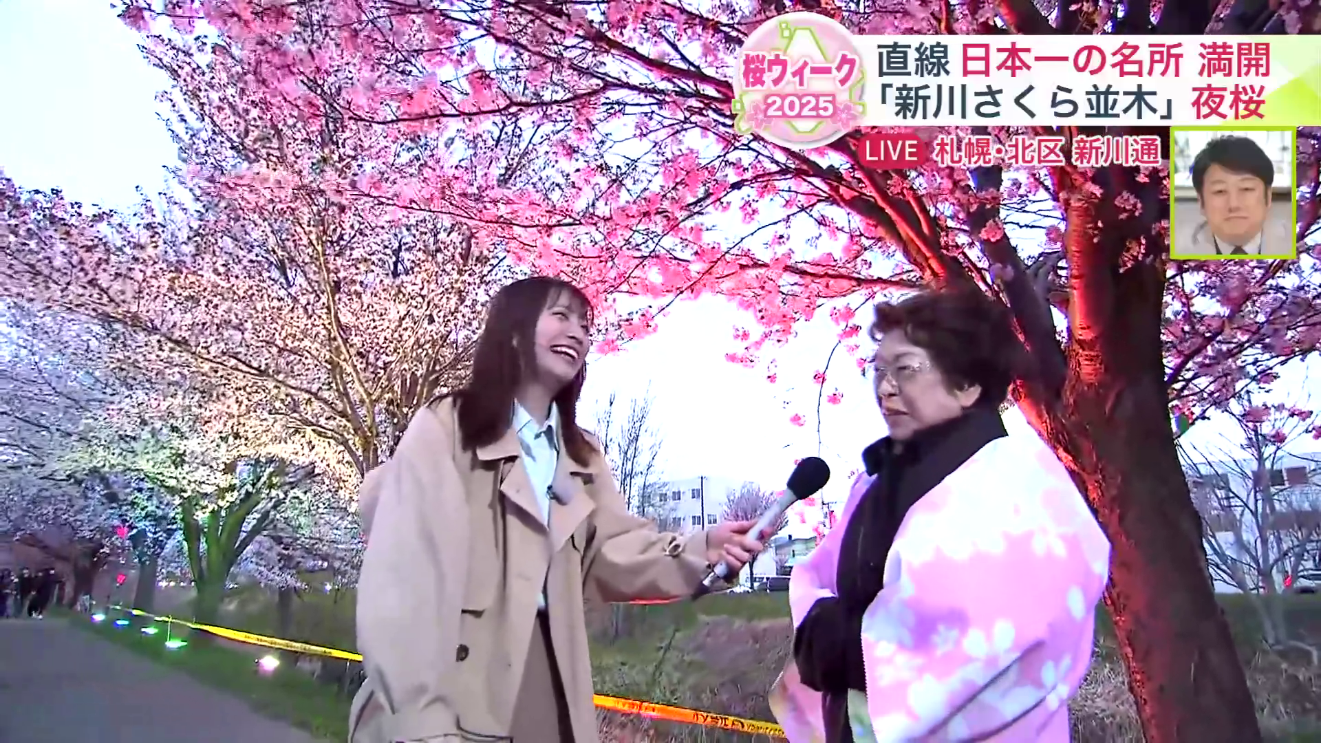 「新川夜ざくら2025」は4月28日・29日開催