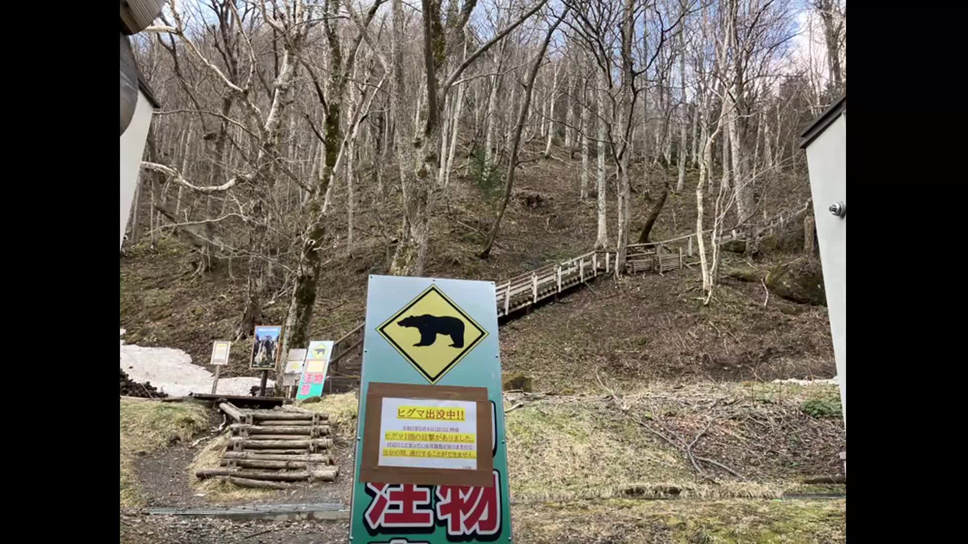 【ヒグマ速報】ゴールデンウィークの観光客でにぎわう「層雲峡」でクマ目撃_近くでエゾシカの死骸発見_駐車場には車が約20台…5月7日まで遊歩道を閉鎖〈北海道・上川町〉