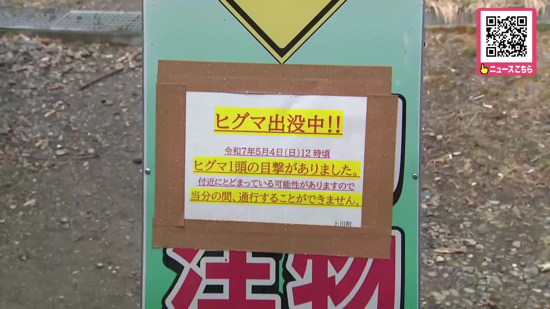【ヒグマ出没】観光地・層雲峡の遊歩道で散策をしていた人がクマ1頭目撃_近くにはエゾシカの死骸も…遊歩道は5月7日まで閉鎖〈北海道〉