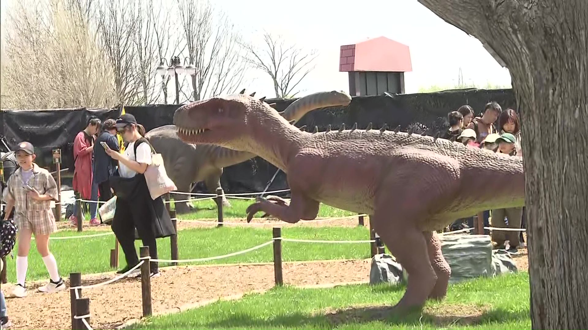 4月26日から始まった「大恐竜パーク」