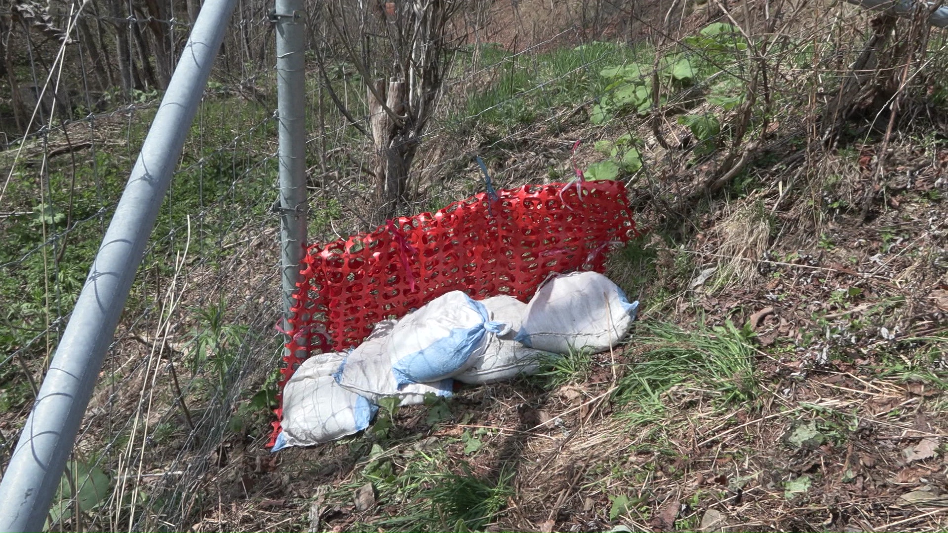 公園を囲うフェンスの下には穴