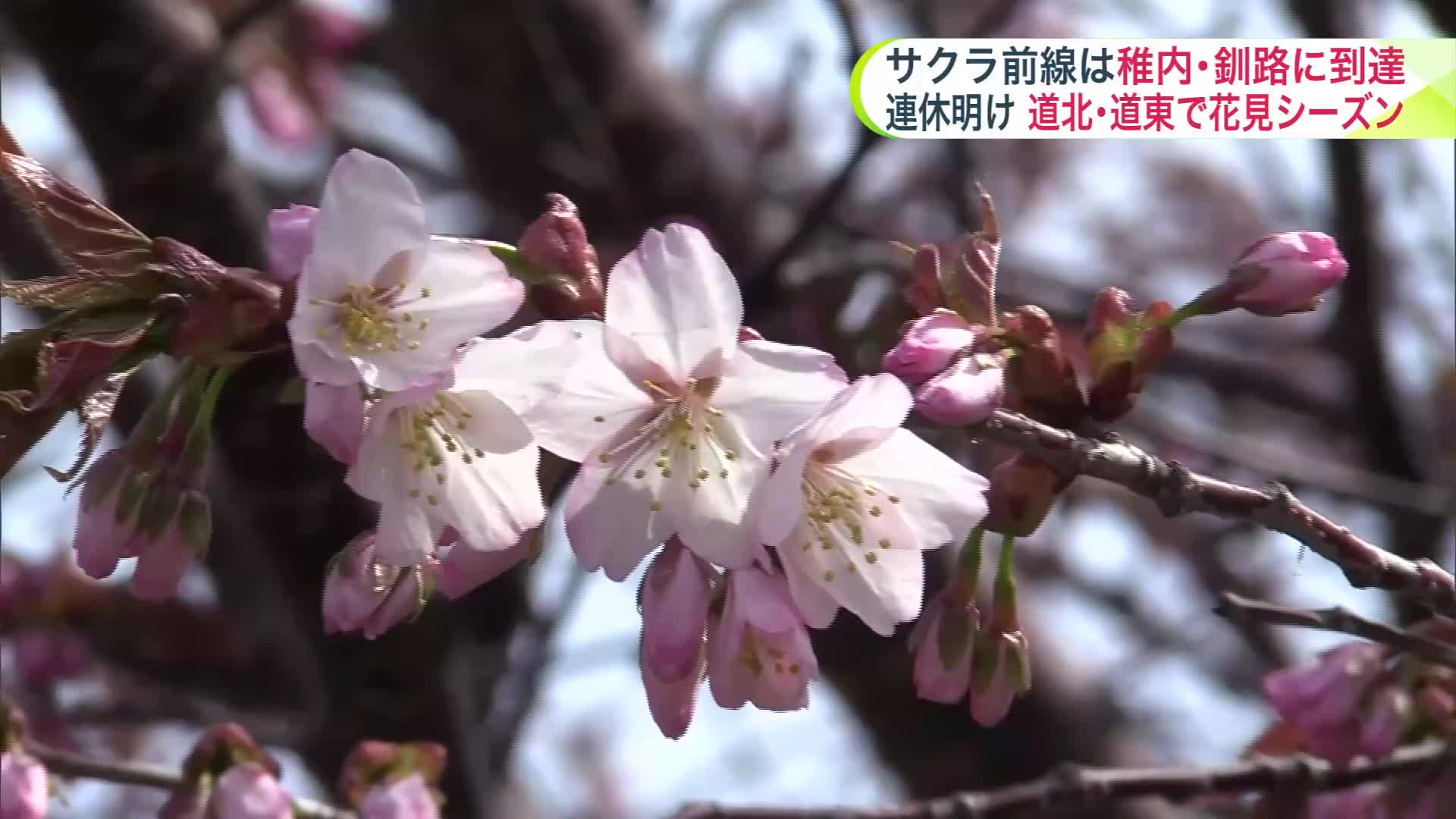 来週は真夏の暑さ！帯広で29℃予報も…半袖・サンダル・扇風機の出番！衣替えも進めて【北海道の天気 7日(水)】