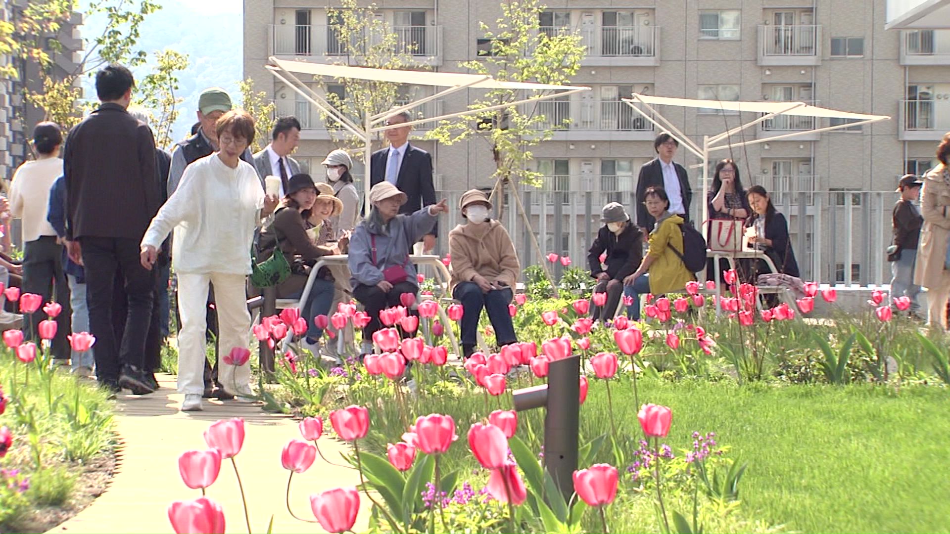 屋上ガーデンには四季折々の花が咲く