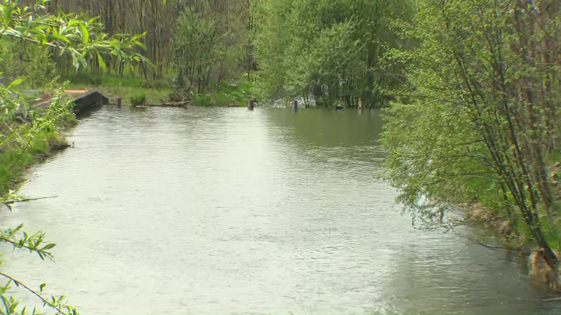 水かさが増した川で悲劇が