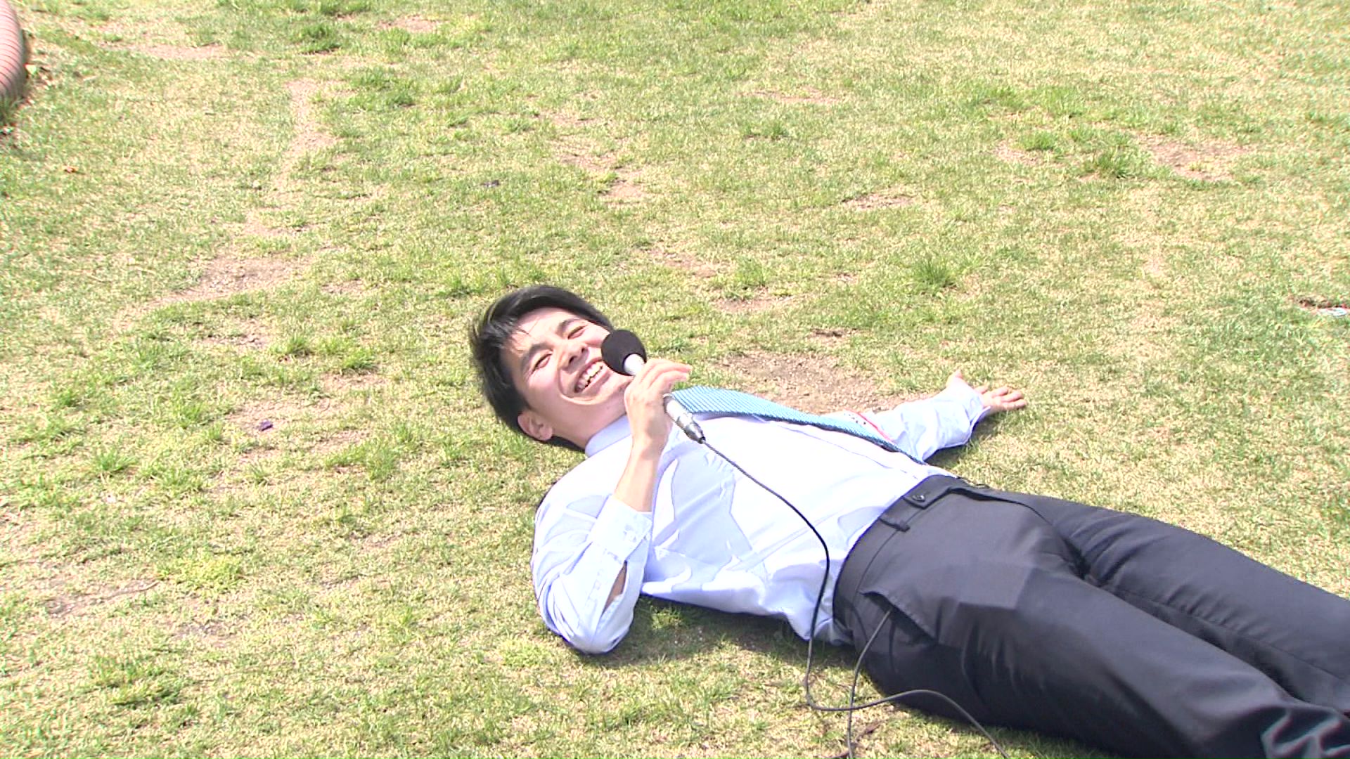 五月晴れのさわやかな天気に