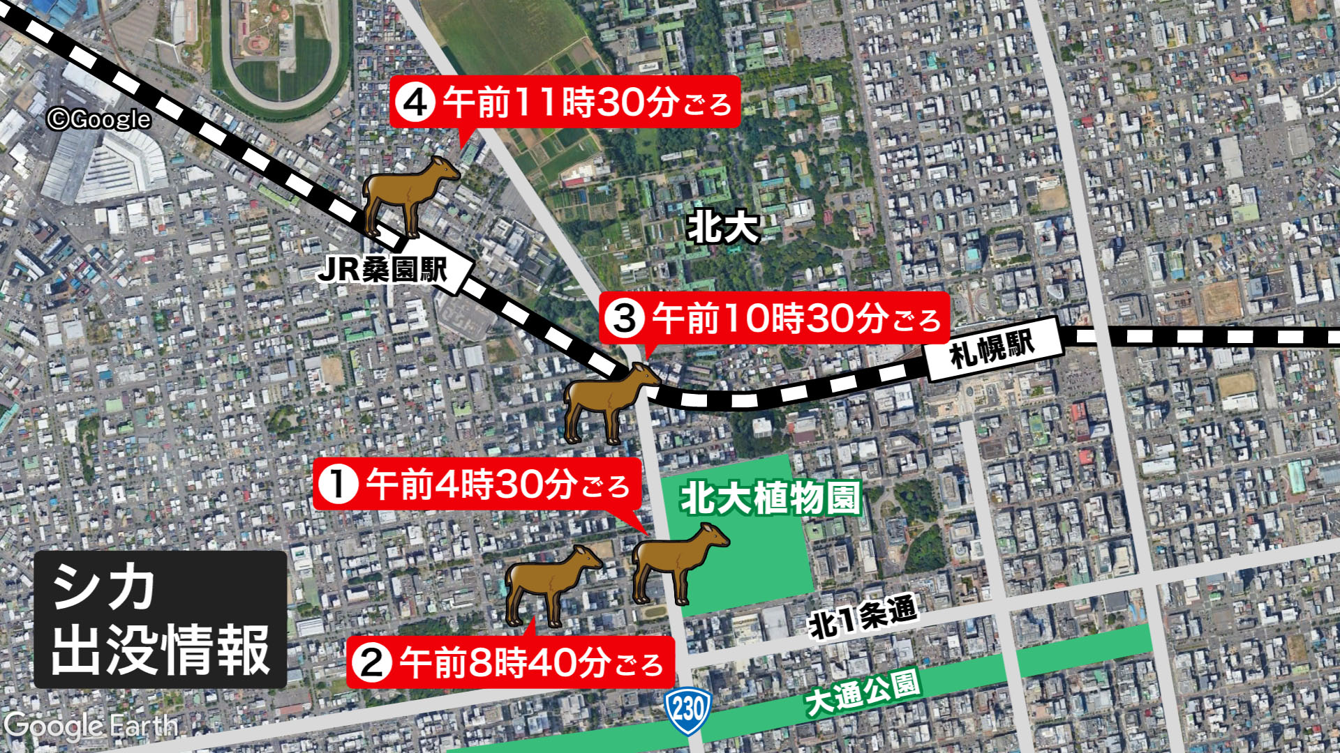 中央区で目撃情報が相次いだシカ