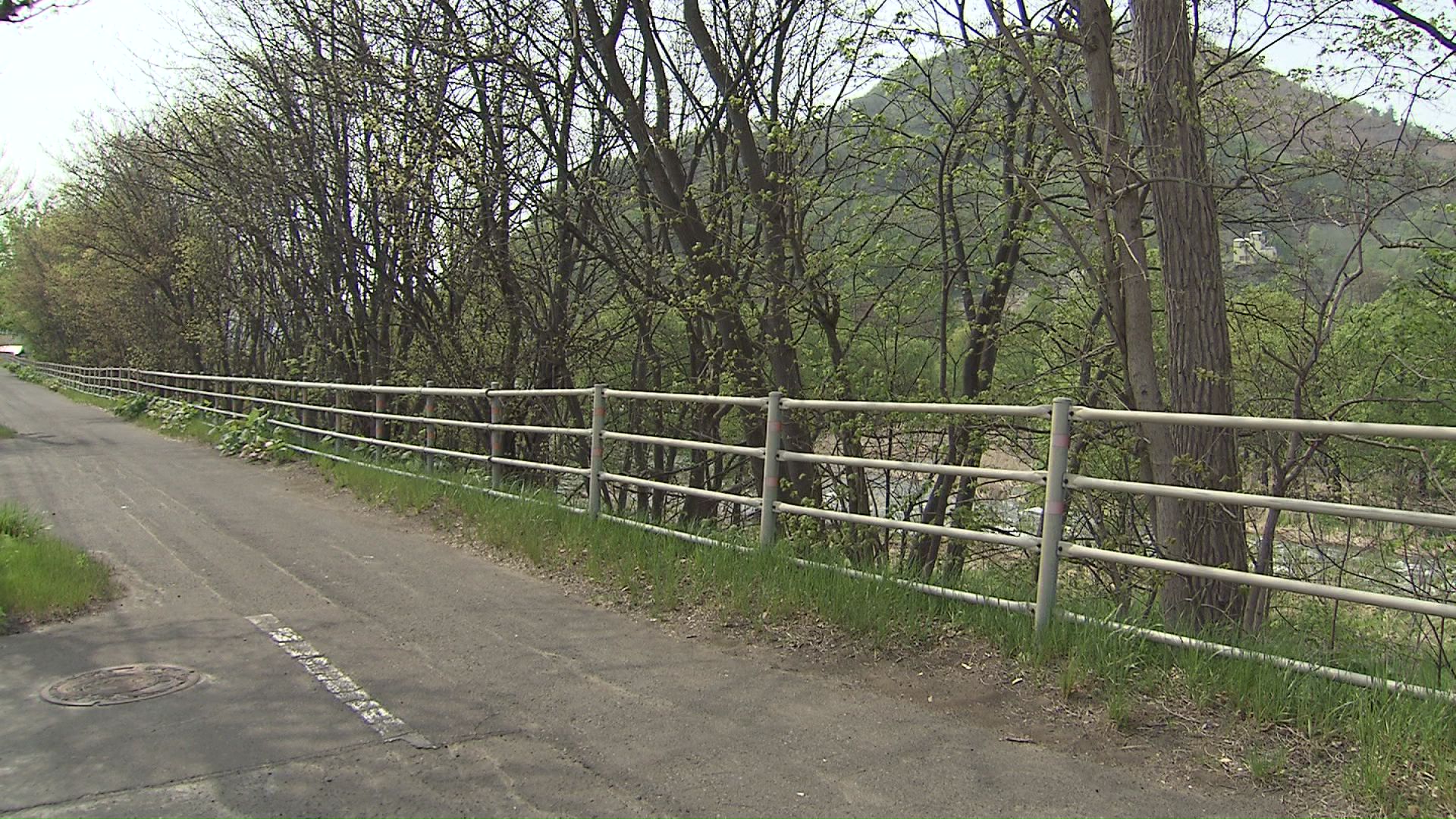 クマが目撃された国道230号線沿い