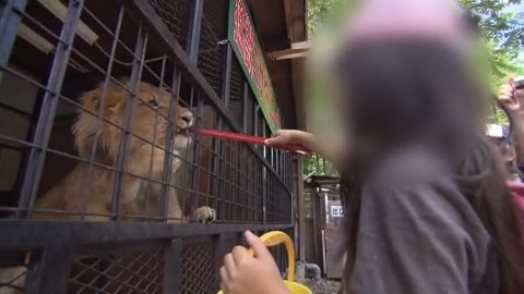 ノースサファリサッポロの園内（資料）