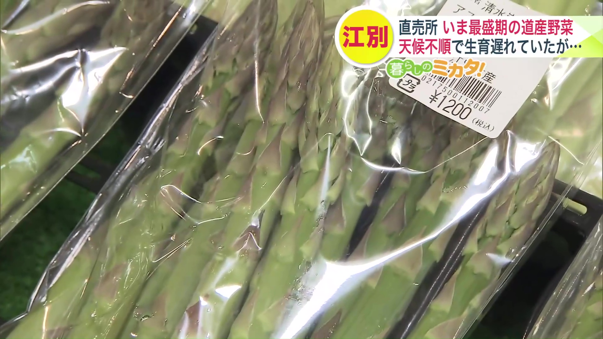 立派な太さのものでは1200円のものも