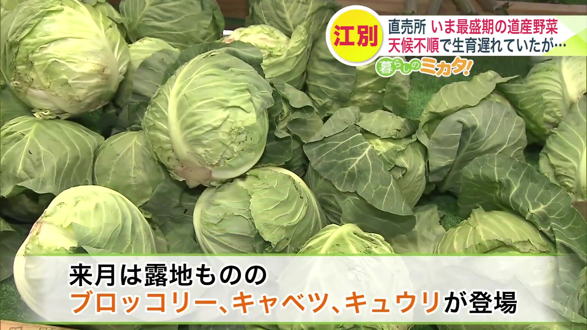 来月からもお得な地元野菜が登場予定