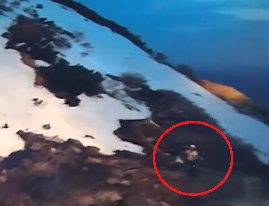 雪の残る山肌の遭難者(提供:道警)