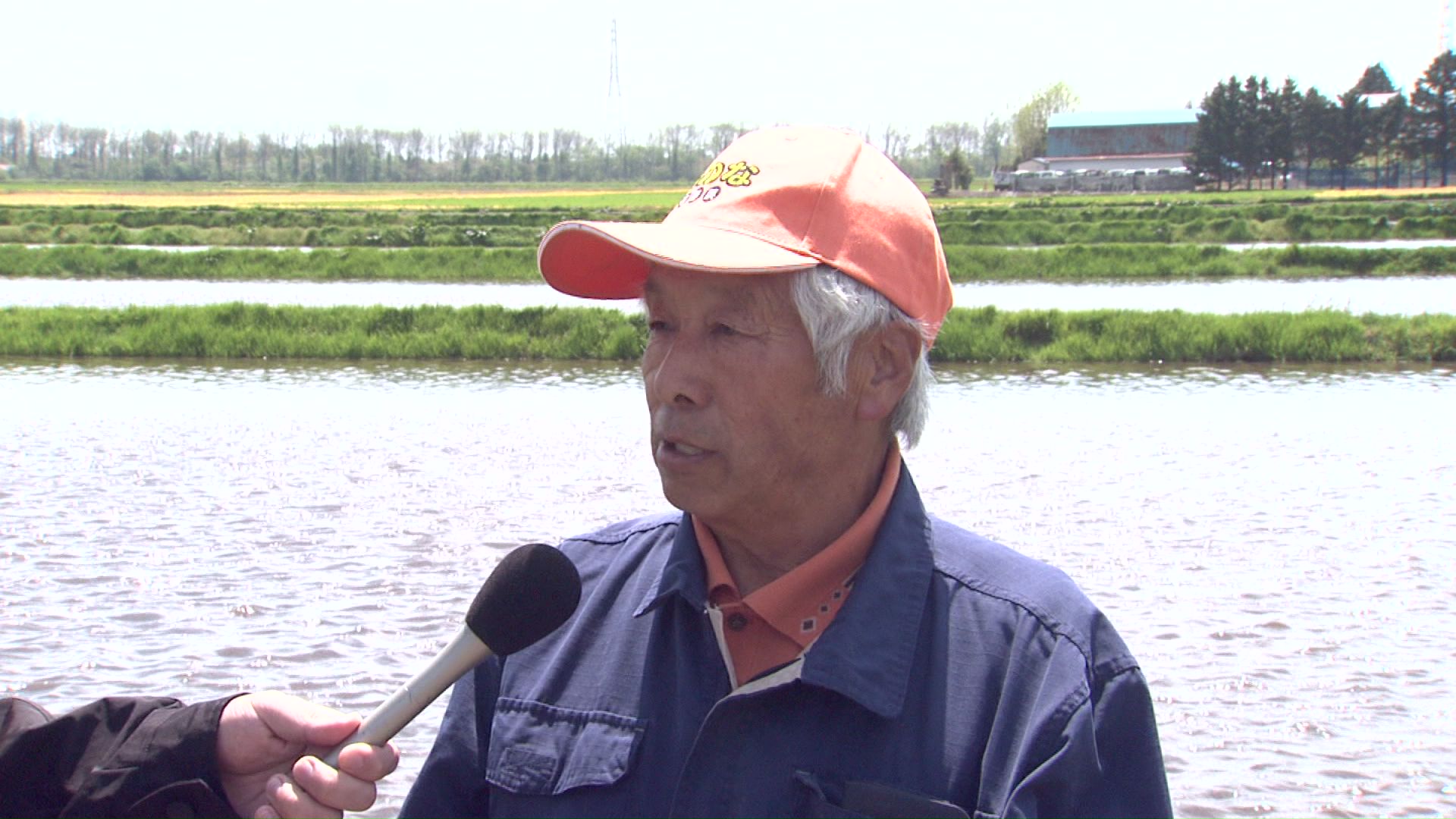 恵庭市のコメ農家 平野隆晴さん