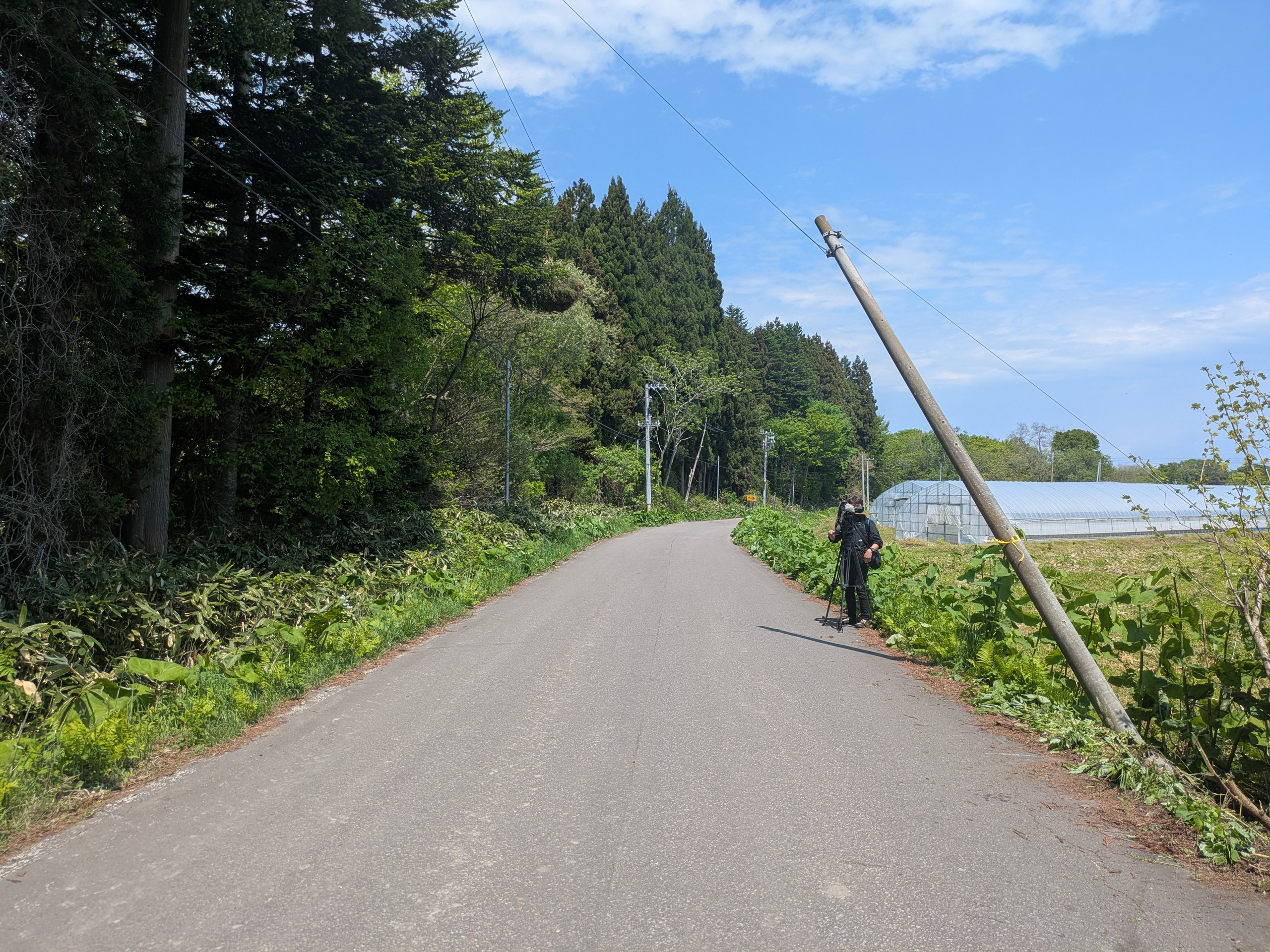 事故があった現場（八雲町）