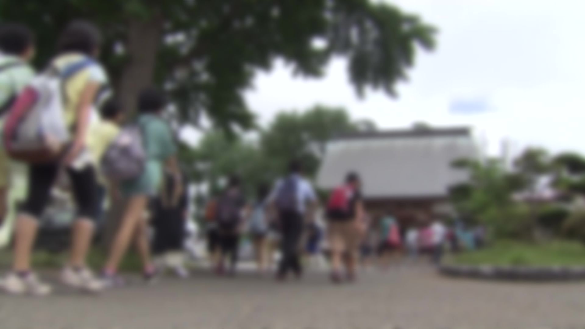 修学旅行を合同で実施へ