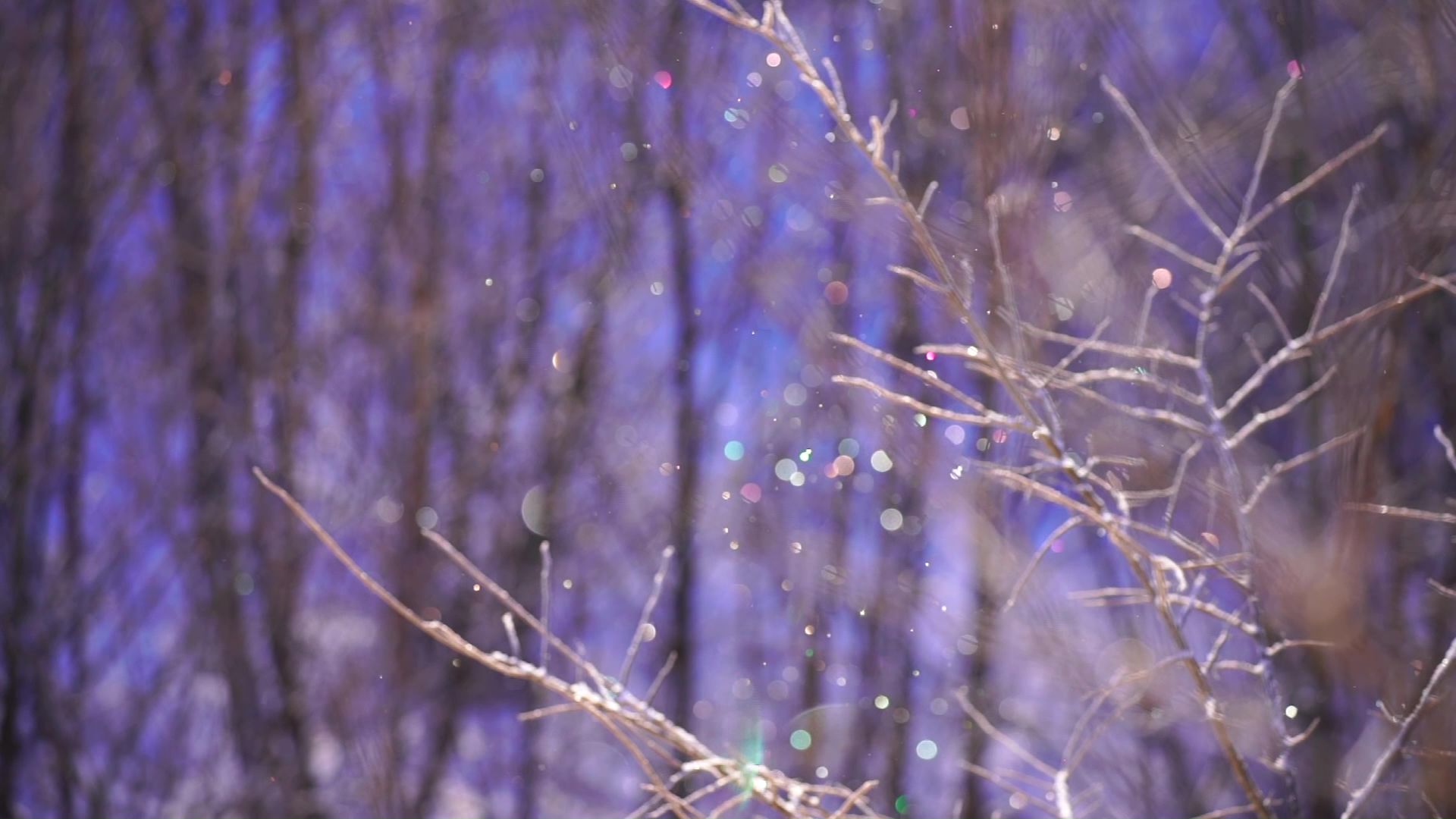 美しいダイヤモンドダストも発生