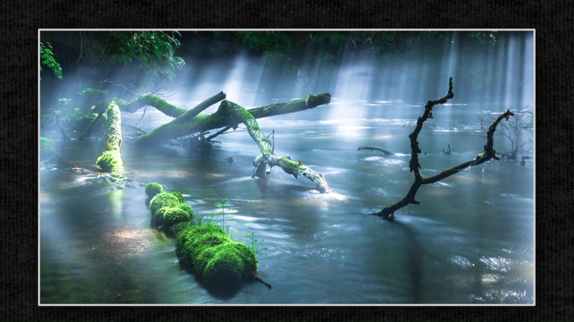 ママチ川での一枚は幻想的な雰囲気