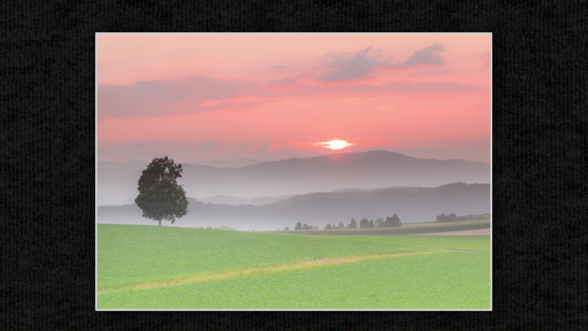 就実の丘で撮影した一枚