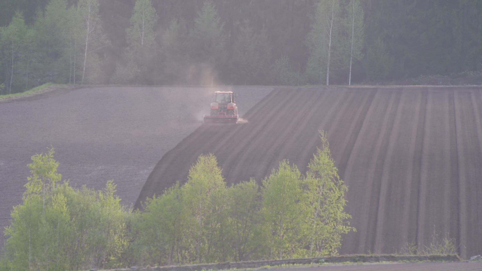鎌田さんが見つけた田園風景