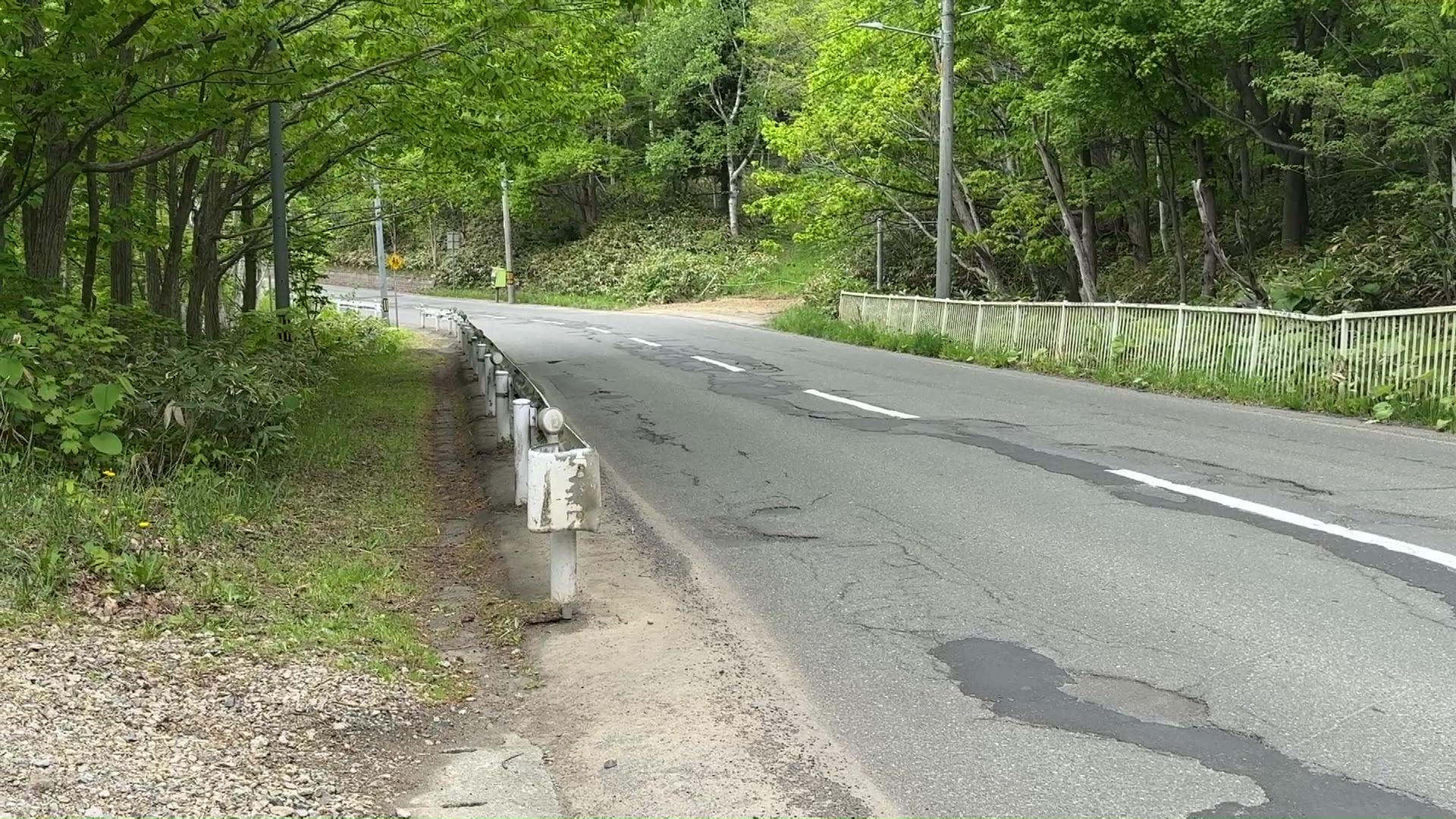 盤渓小学校近くの道路でもクマが目撃される