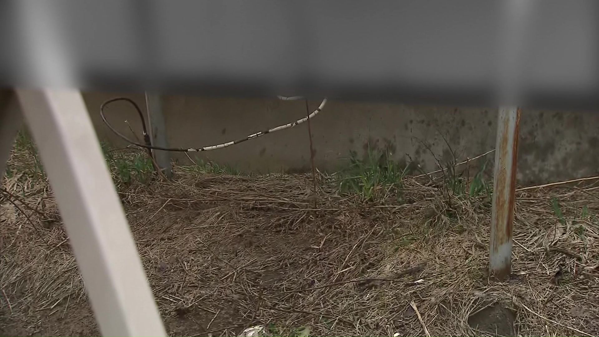 赤ちゃんの遺体が放置されていた現場