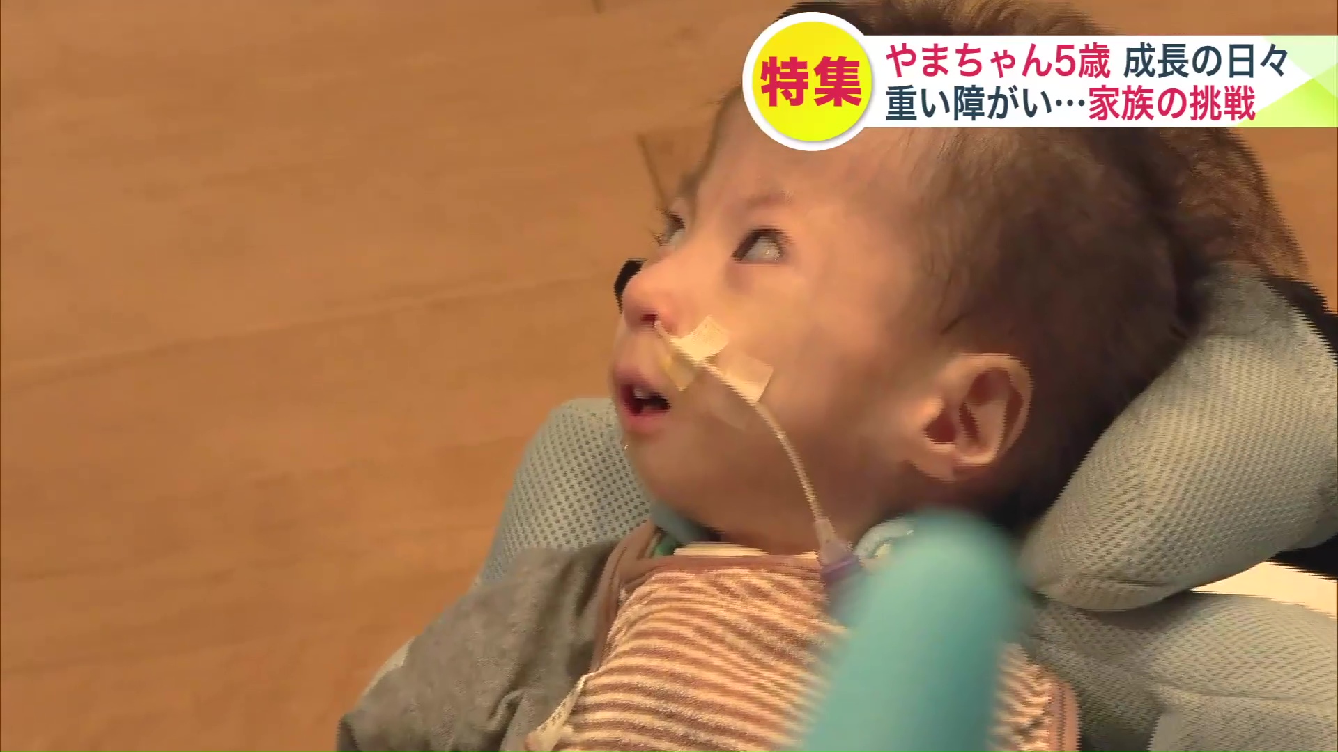 言葉にできなくても「いろとりどりの感情」