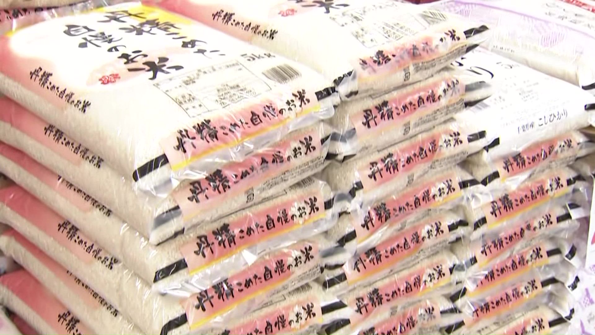 コメの高騰を食い止めたいと強調