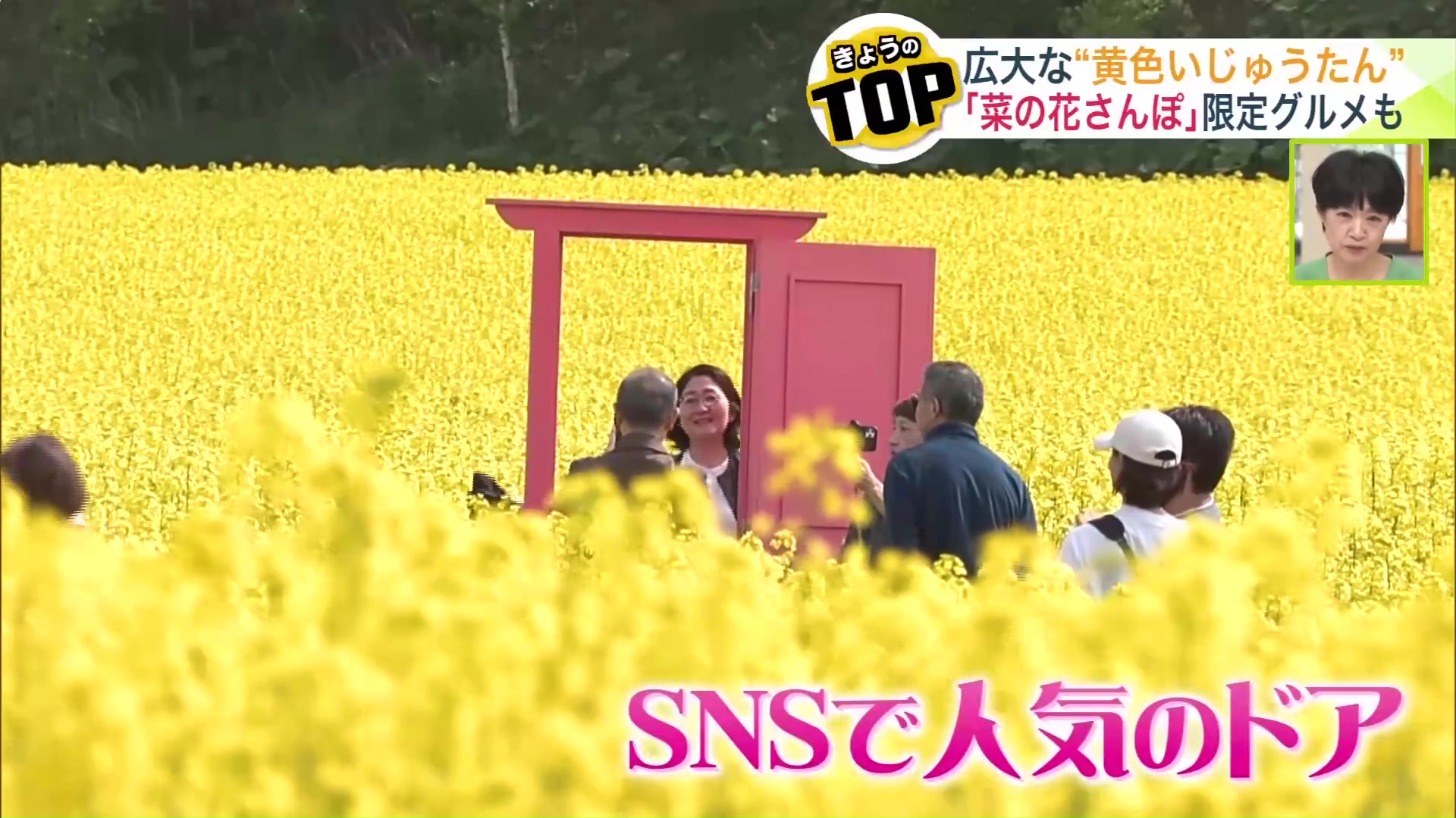 SNSで人気の“ドア”