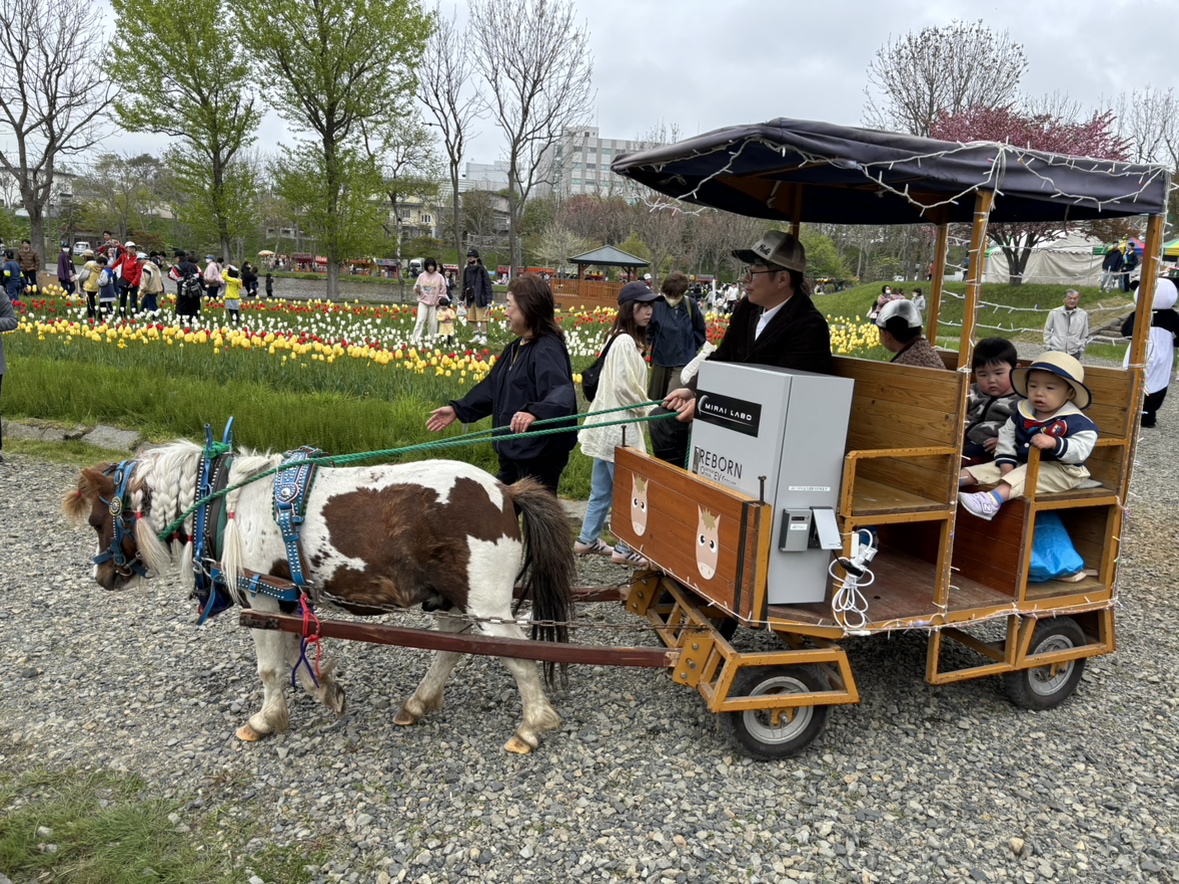 ポニーの花馬車も登場した「くしろチューリップ&花フェア」