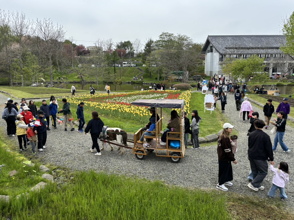 約1万本のチューリップが彩る会場