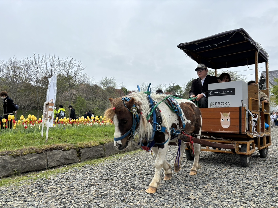 ポニーの花馬車は24日のみ