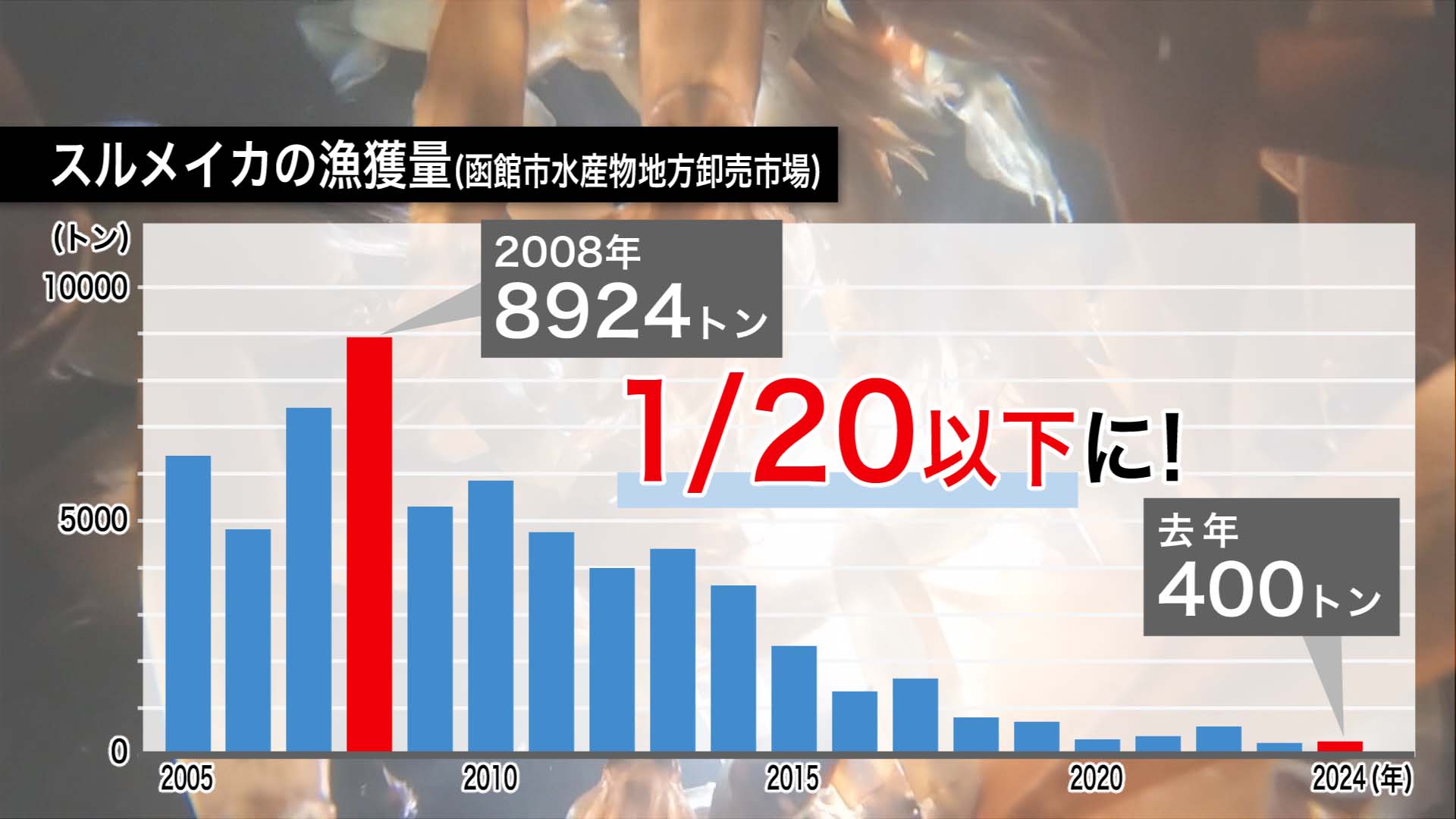 漁獲量の回復に期待したい