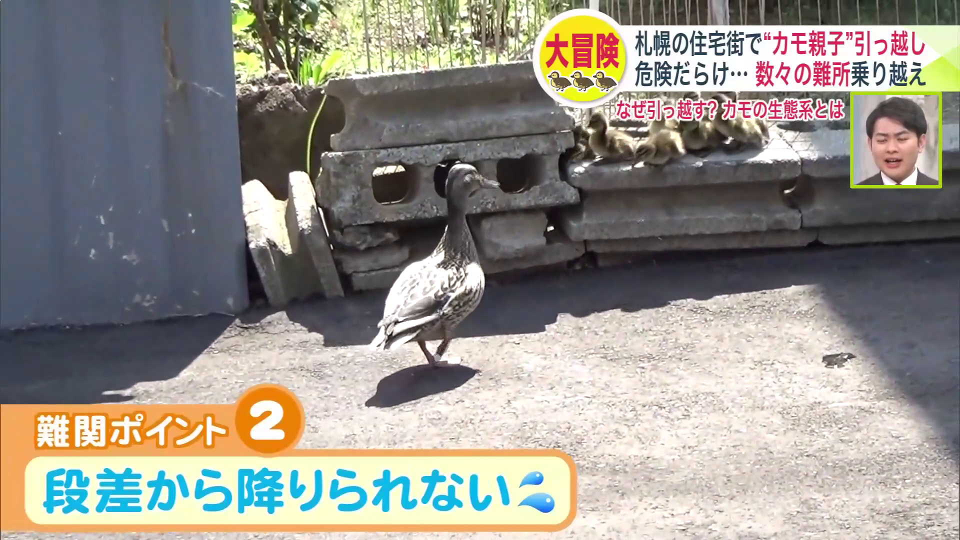 段差を飛び越えられるか