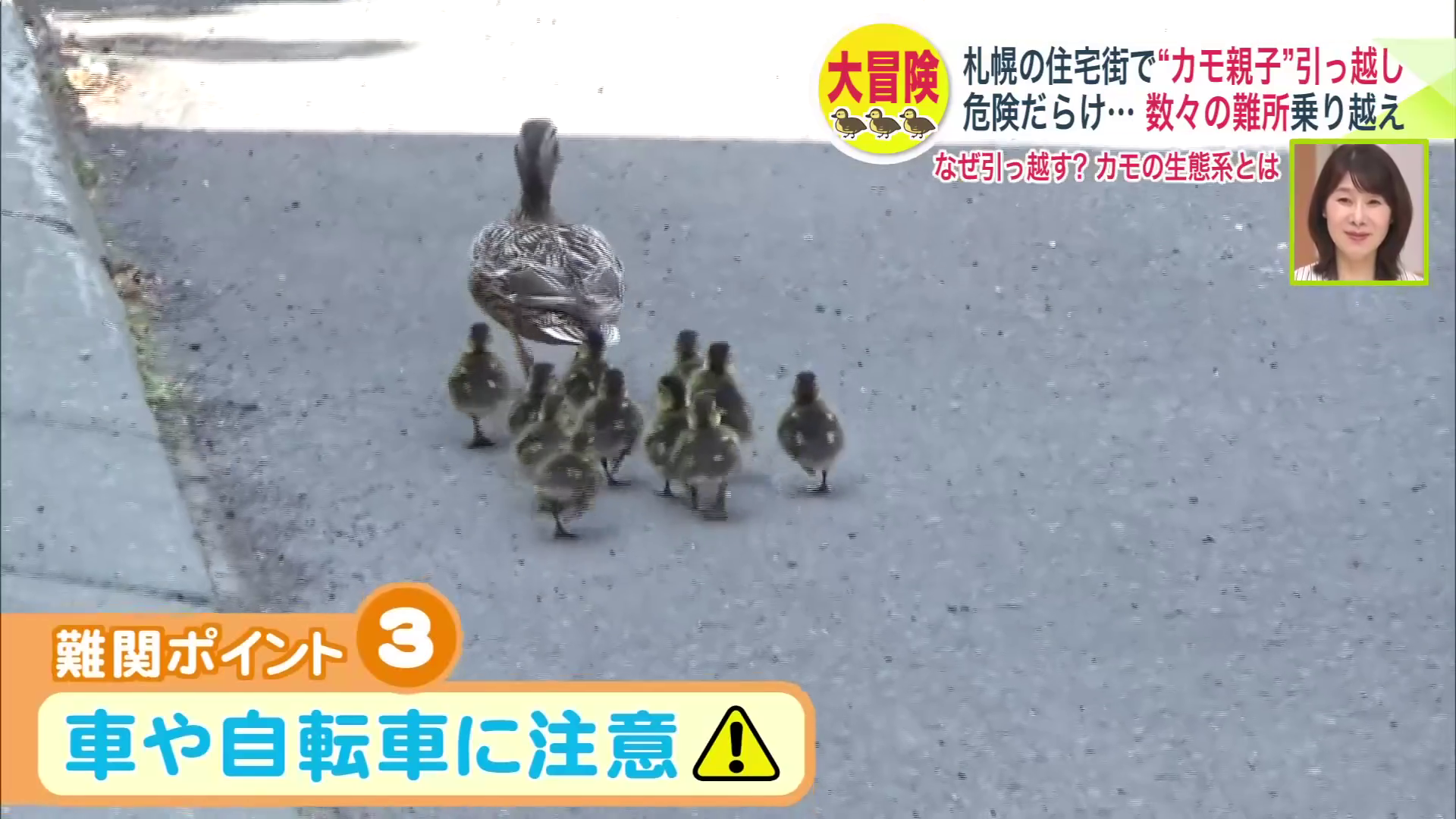 ついに路上へ…車や自転車に注意