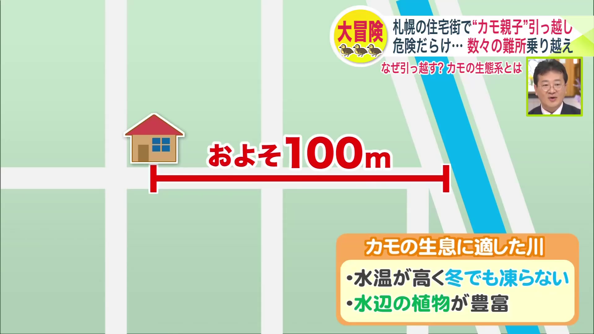 山口さんのお宅は川から約100メートル