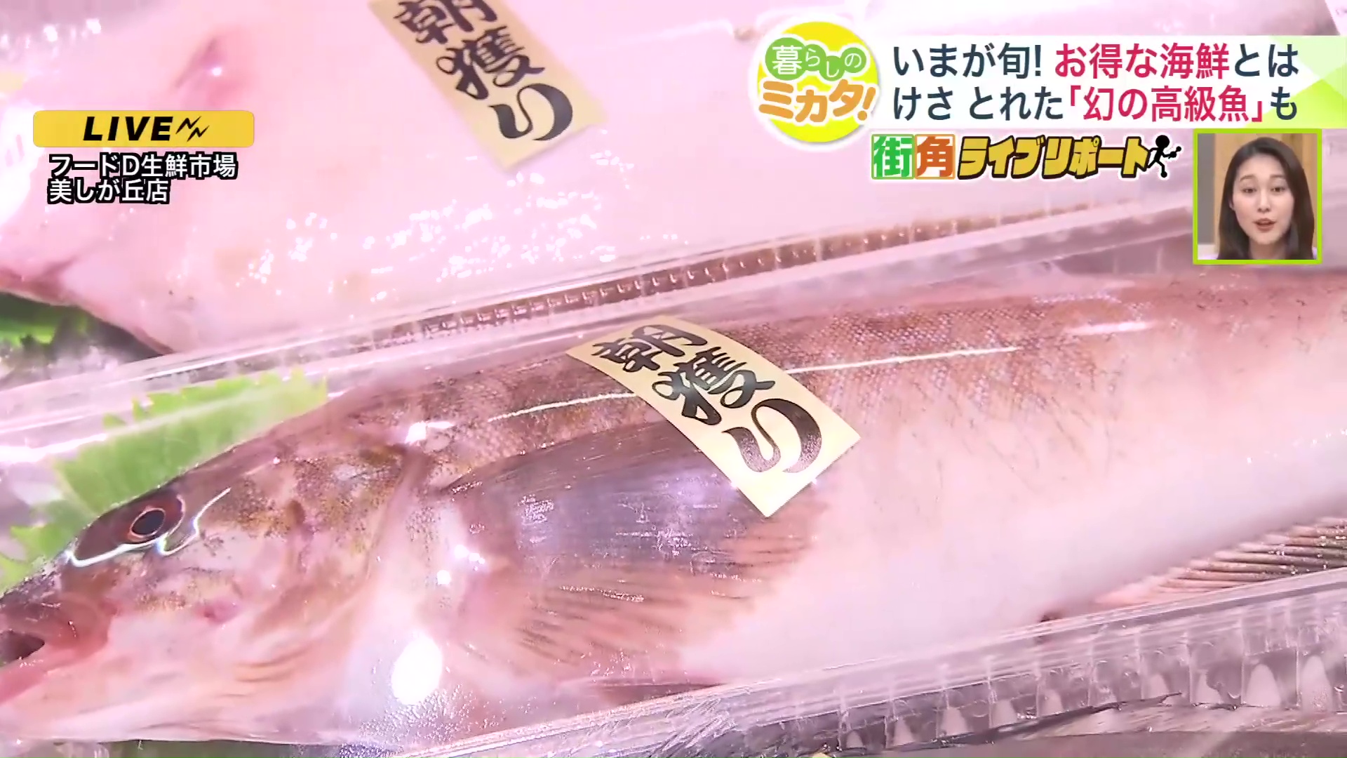 「朝捕り」と書かれた金色のシール