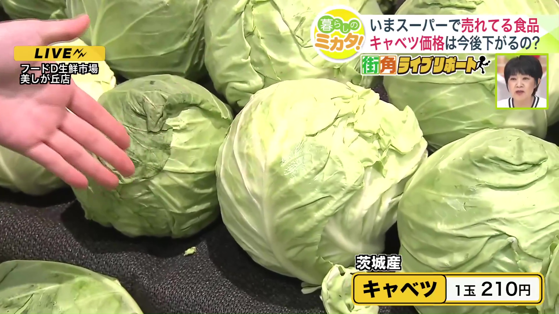 『茨城県産キャベツ』