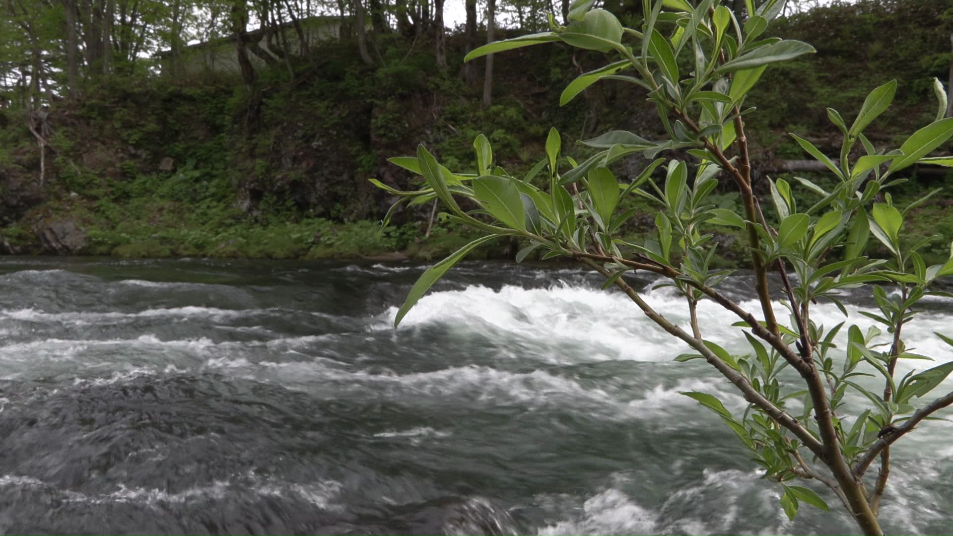 事故現場の空知川