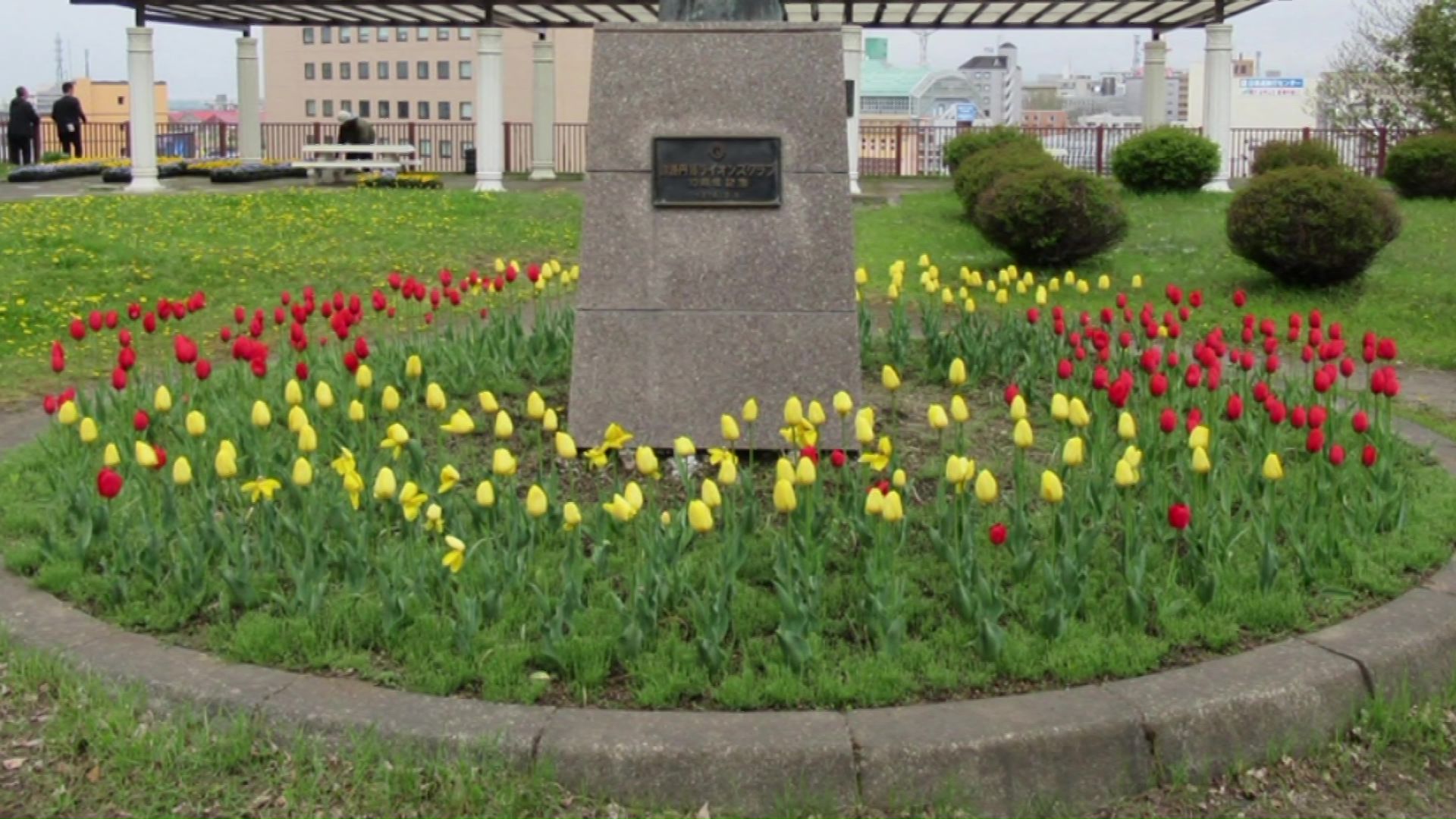 以前は像の周りにチューリップが咲いていた