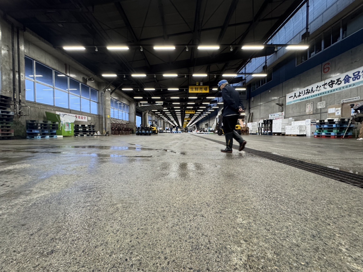 スルメイカの水揚げがなくセリが開かれない函館市水産物地方卸売市場(函館市)