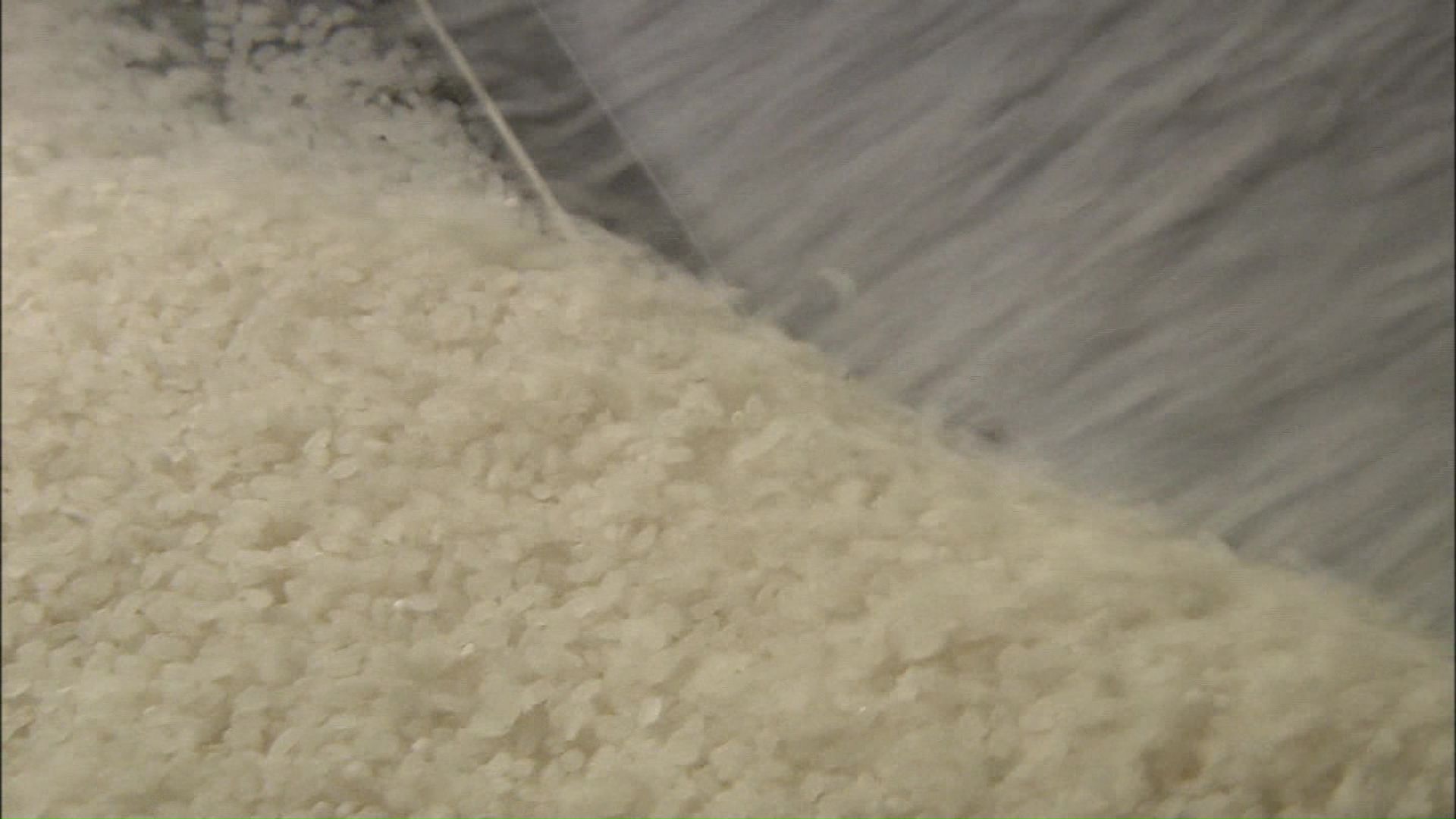 待ち焦がれた備蓄米