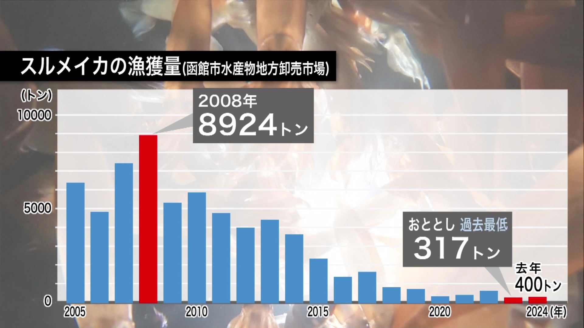 スルメイカの漁獲量(函館市水産物地方卸売市場)